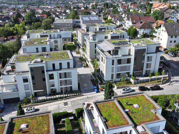 Steinberg Fertig 10