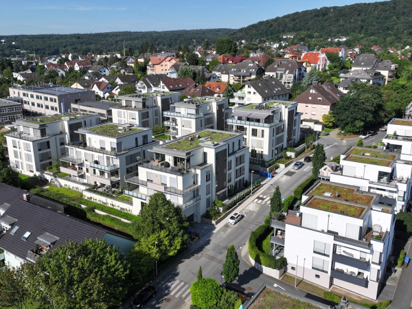 Steinberg Fertig 11
