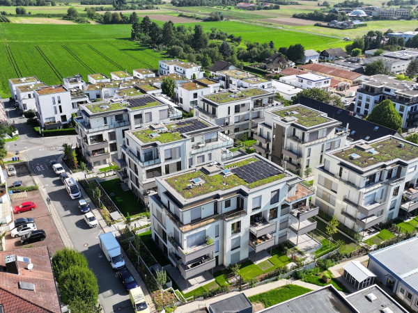 Steinberg Fertig 13