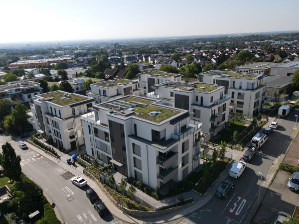 Steinberg Fertig 5