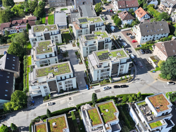 Steinberg Fertig 9